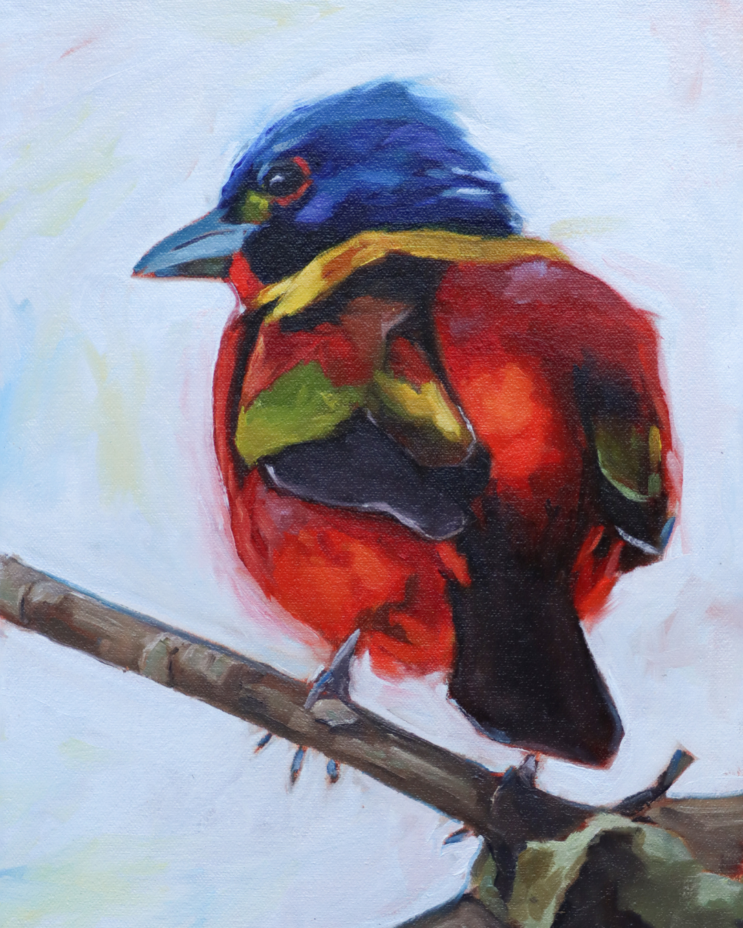 Painted Painted Bunting (8x10 Prints)