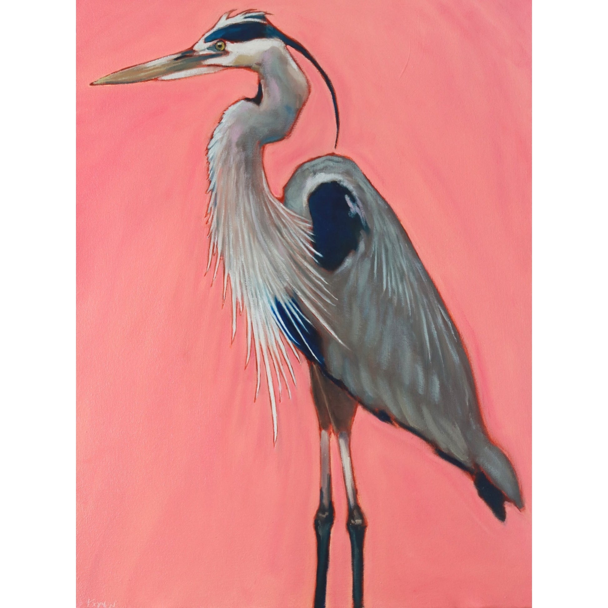 “Coral Heron” (8x10 Print)