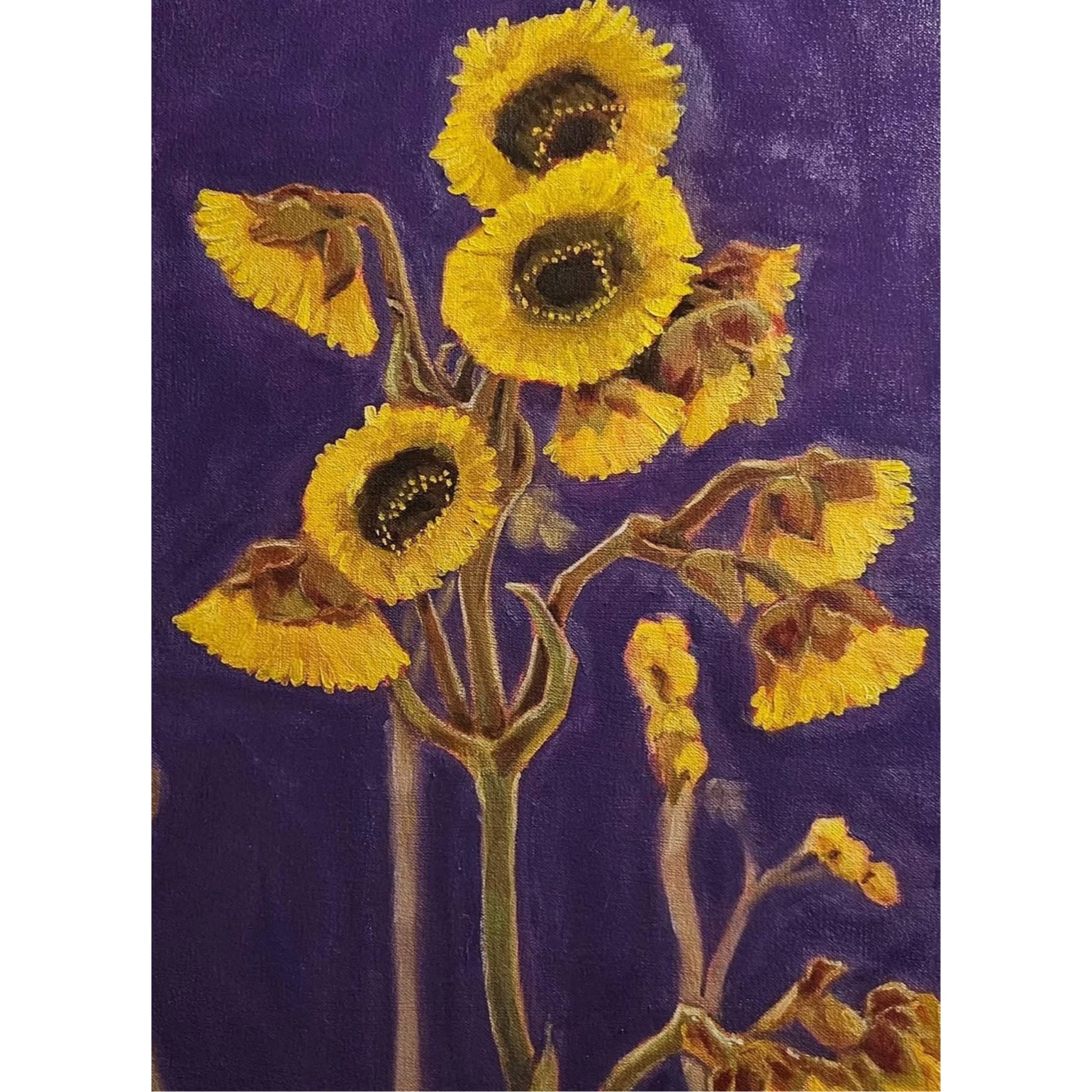 “Chingaza Sunflower” (Original Oil Painting on Canvas)