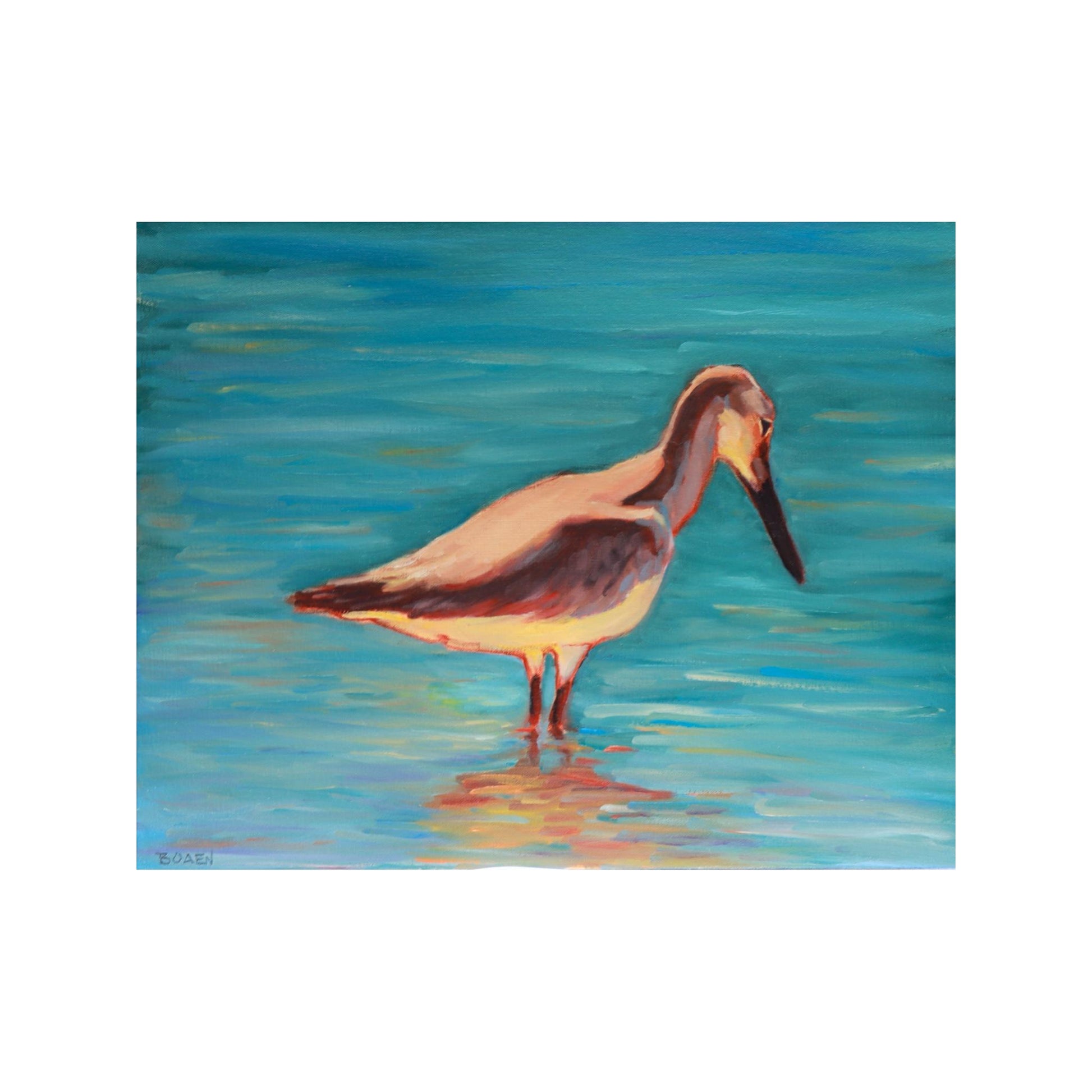 “Dry Tortugas Sandpiper” (Original Oil Painting on Canvas)