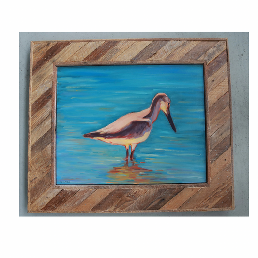 “Dry Tortugas Sandpiper” (Original Oil Painting on Canvas)