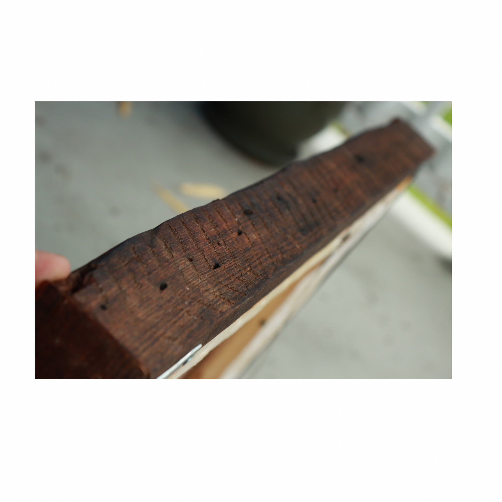 “Electric Bison” (Framed Original Oil Painting on Canvas)