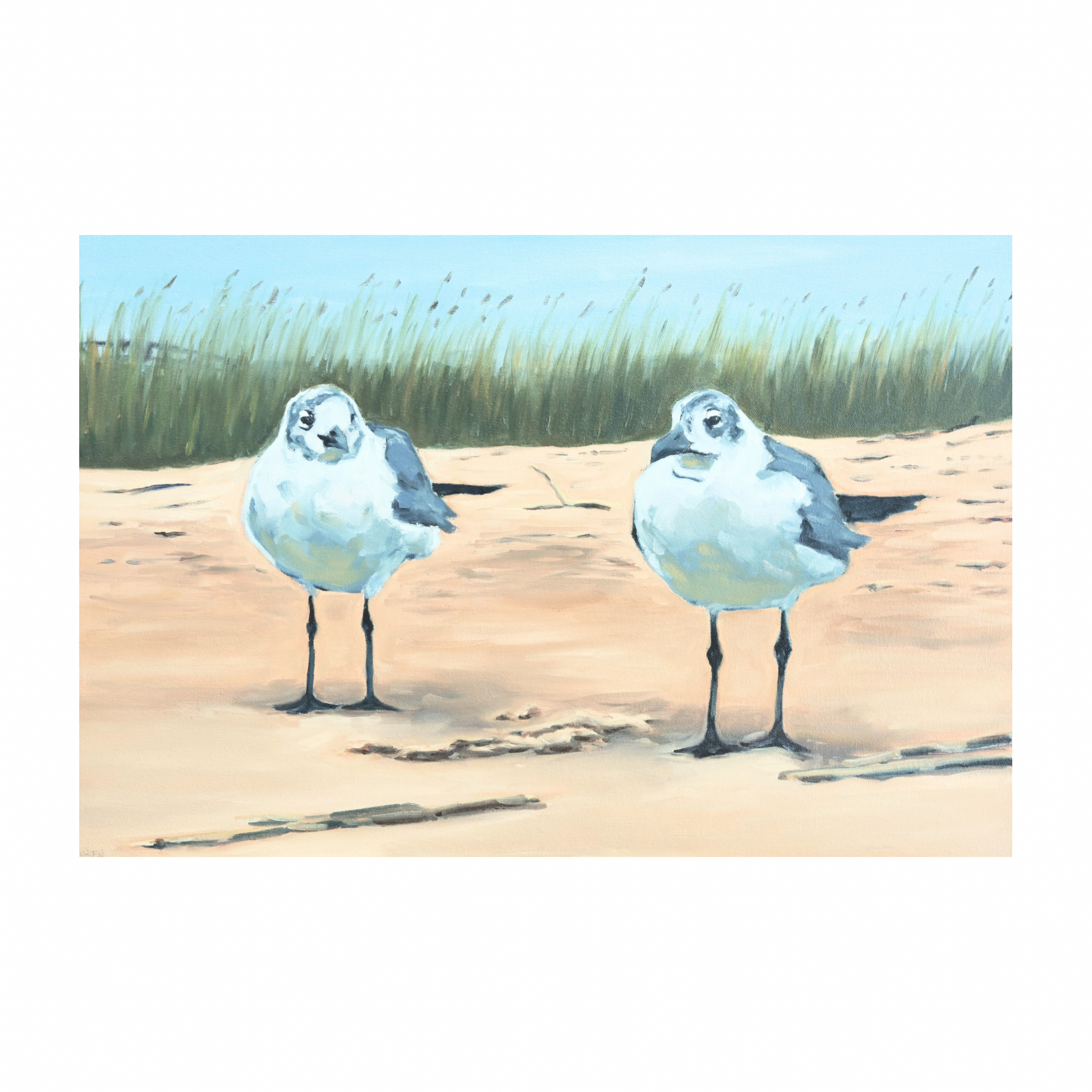 “Two Old Birds” (8x10 Print)