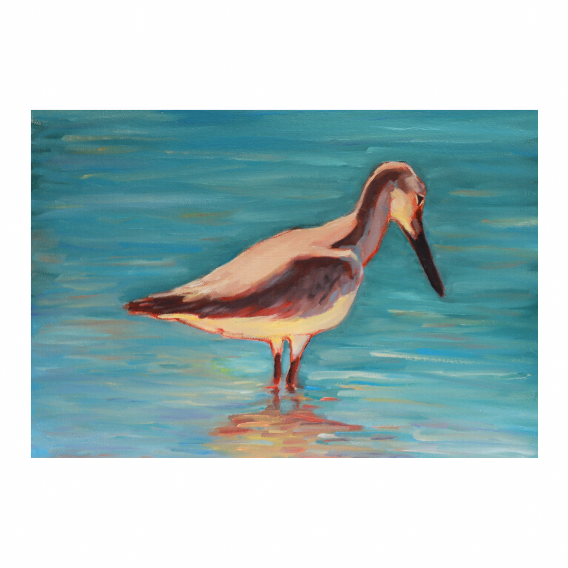 “Dry Tortugas Sandpiper” (8x10 Print)