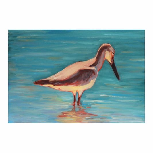 “Dry Tortugas Sandpiper” (8x10 Print)