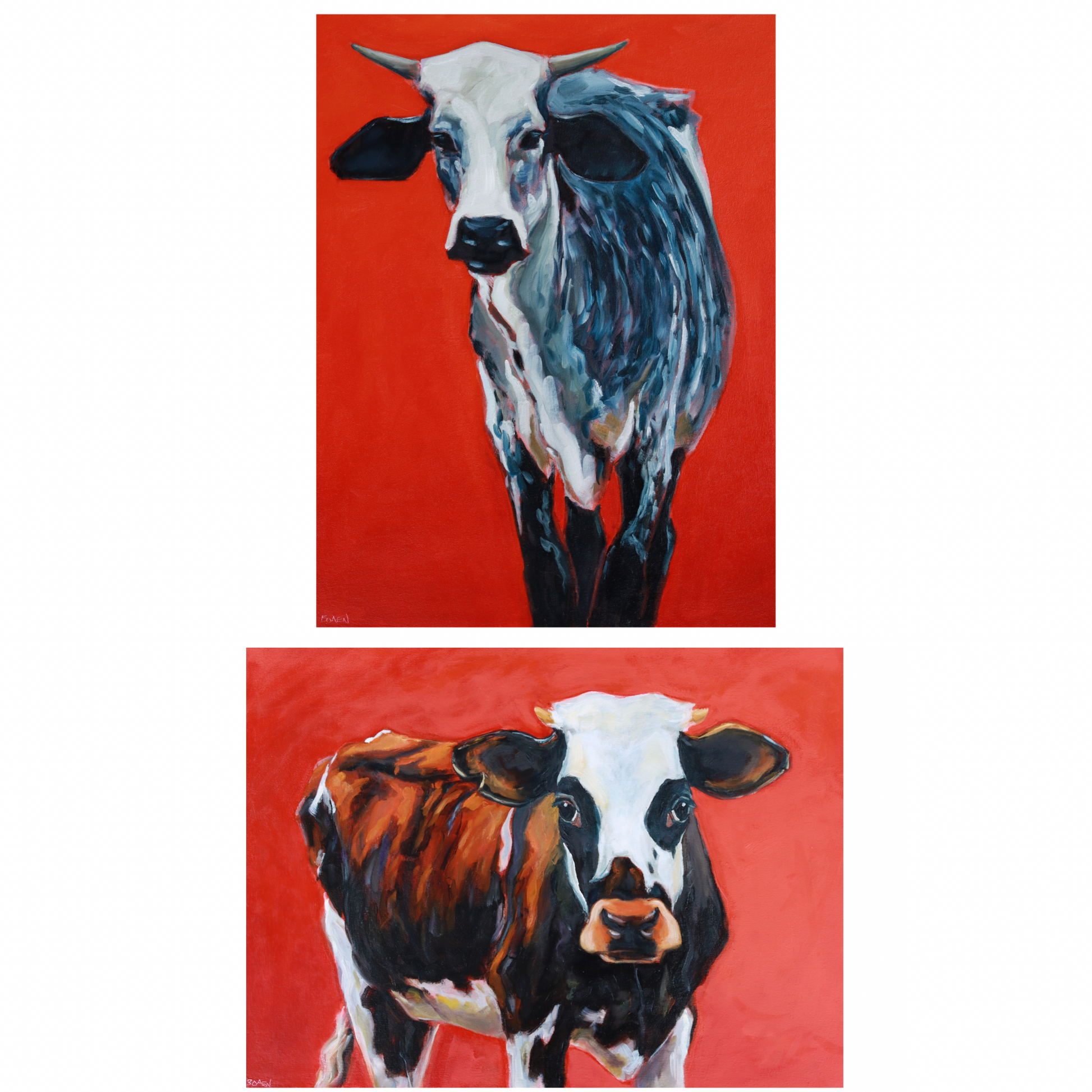 “Gotta Go, Julia, We Got Cows” (8x10 Cow Prints) *2 options*