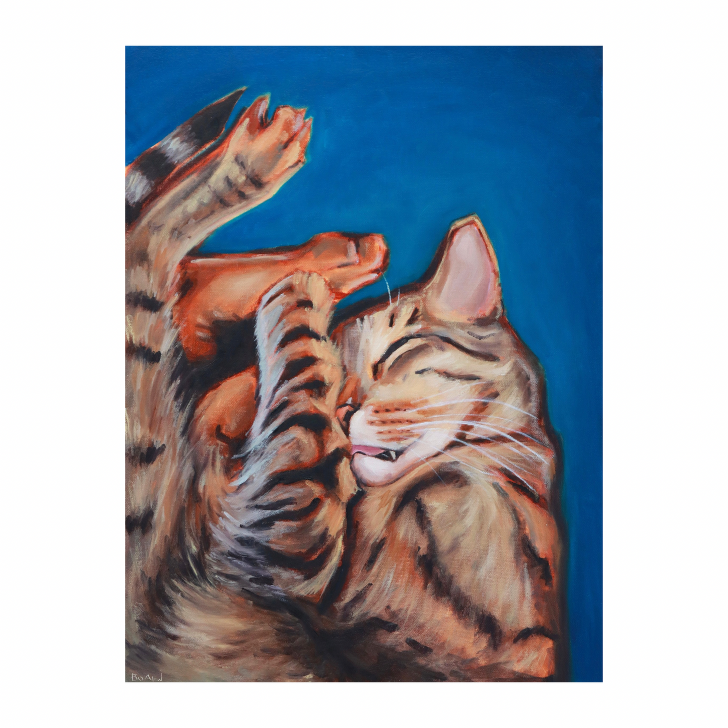 “Cozy Cat” (8x10 Print)